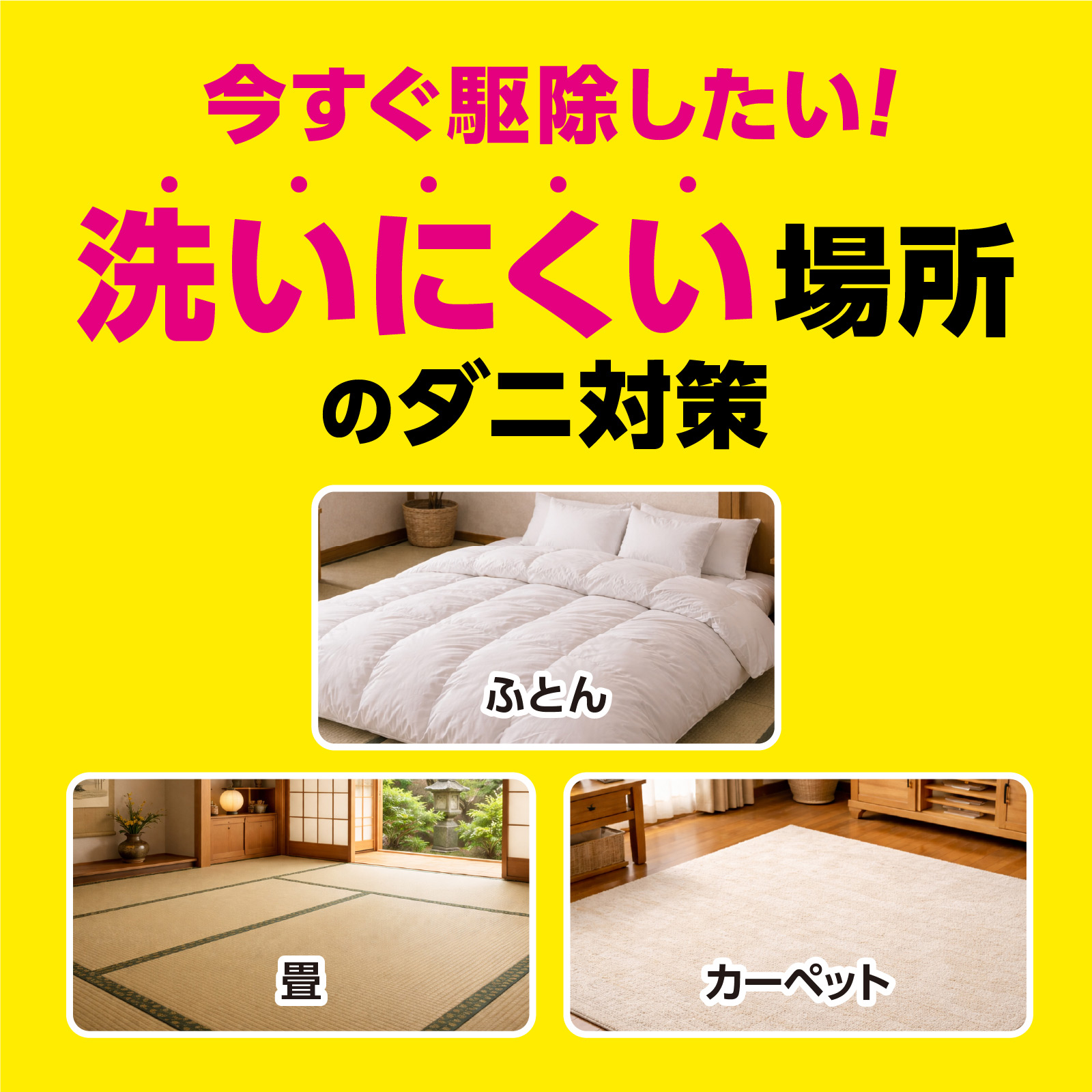 今すぐ駆除したい！洗いにくい場所のダニ対策！　ふとん・畳・カーペット