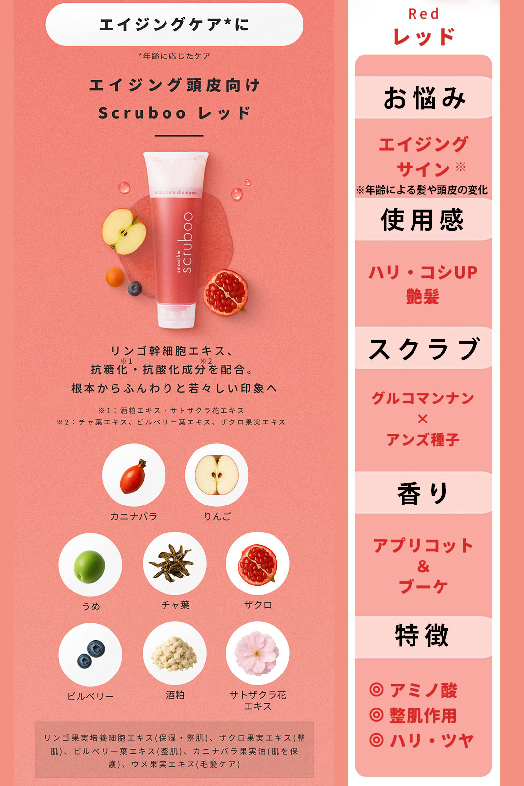 【定期購入】スムージーシャンプー RED