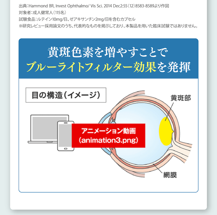 黄斑色素をふやすことでブルーライトフィルター効果を発揮