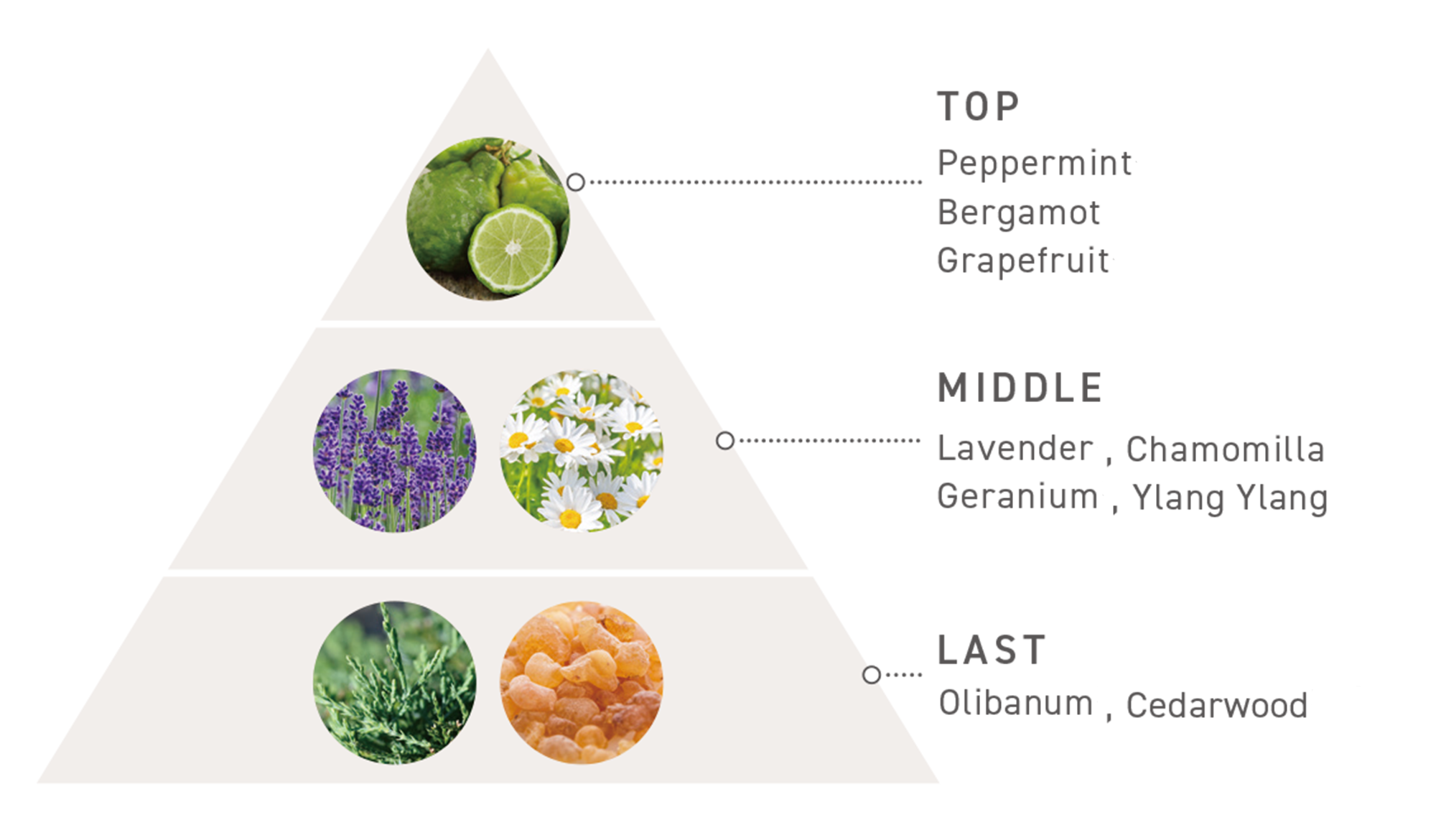 香りのピラミッド