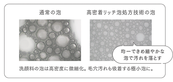 スサビノリのイメージ