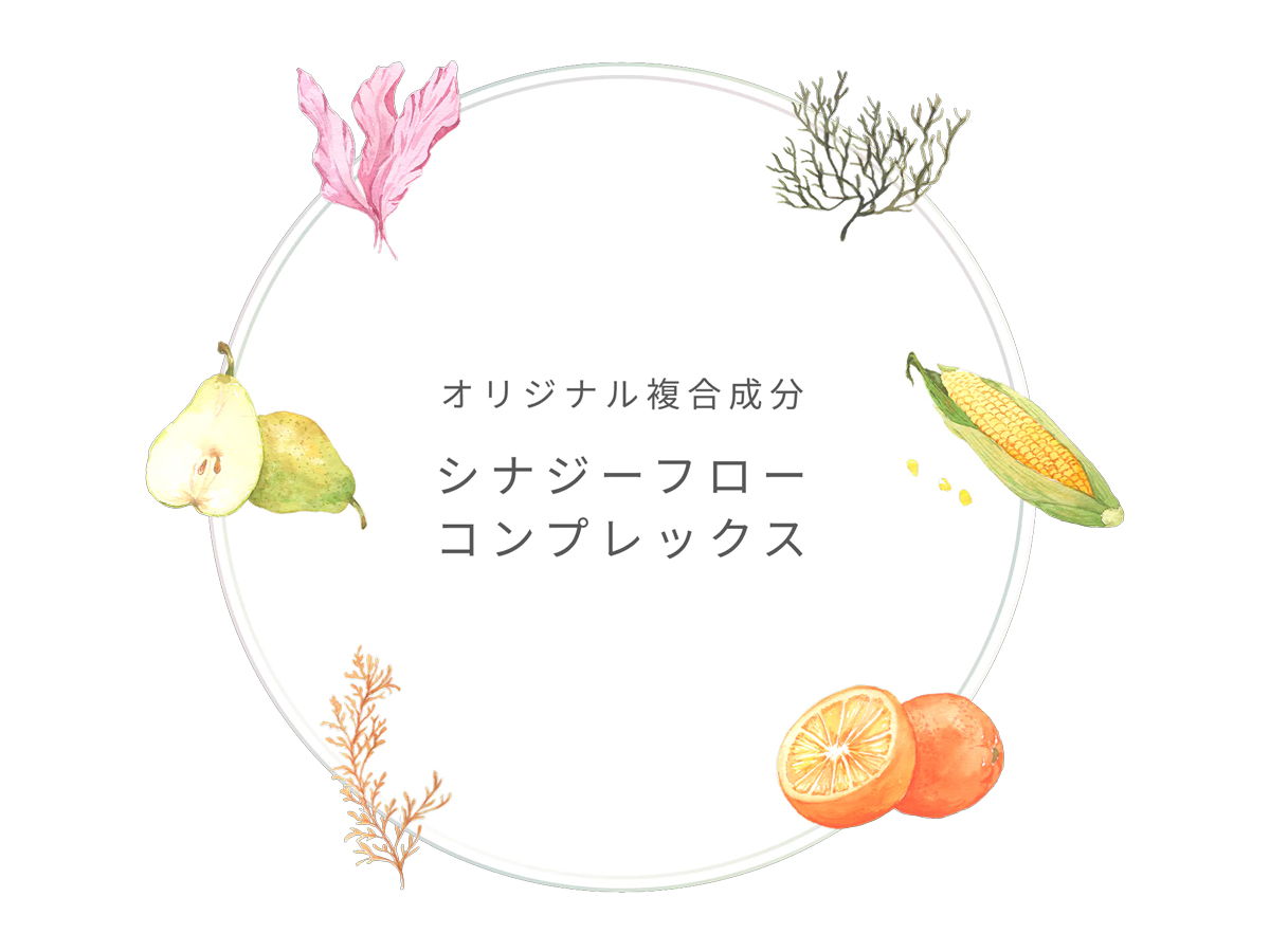 シナジーフローコンプレックス構造図