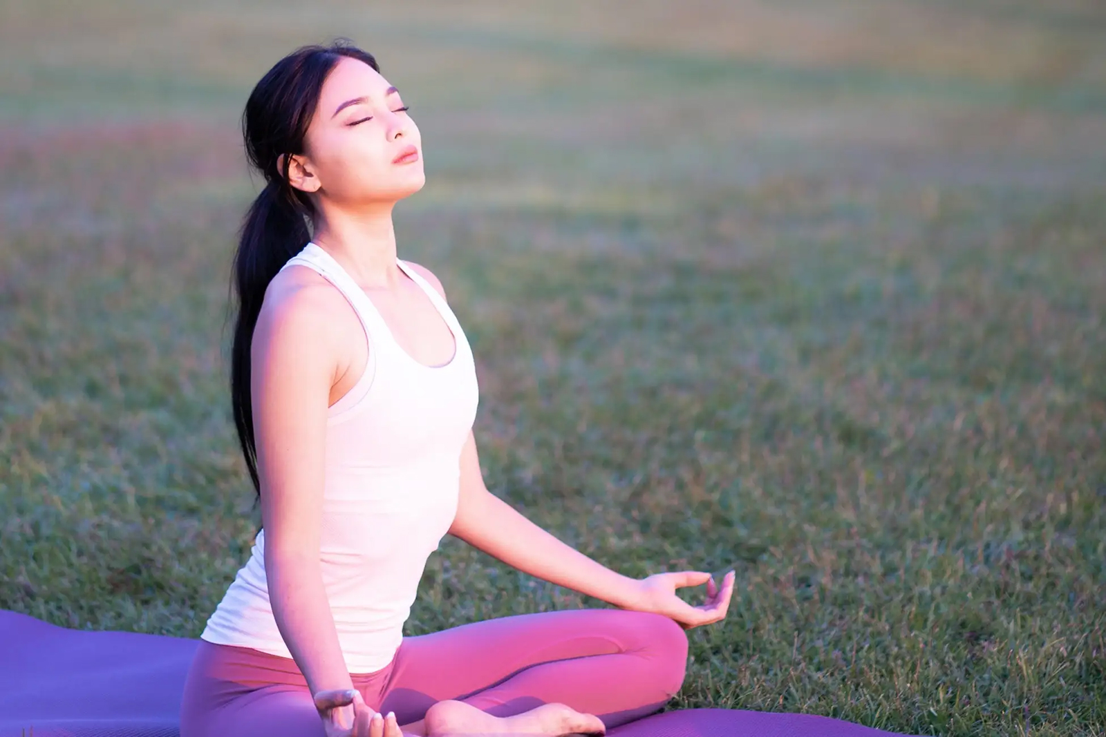 NEMU RESORTでのウェルネス体験イメージ