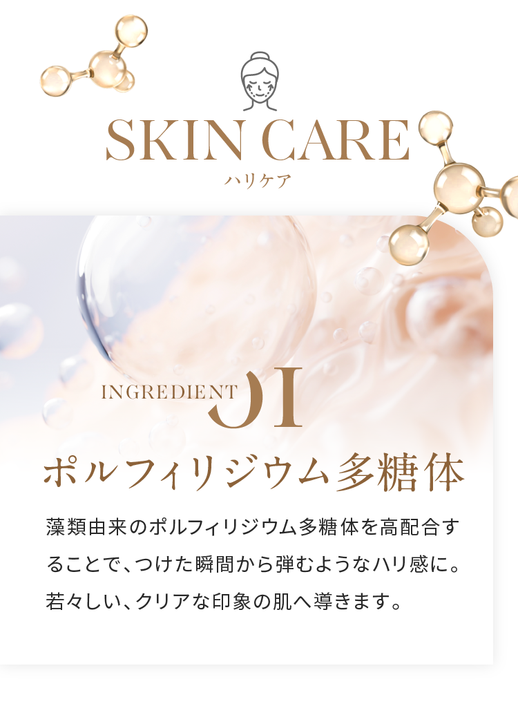 ハリケア ポルフィリジウム多糖体