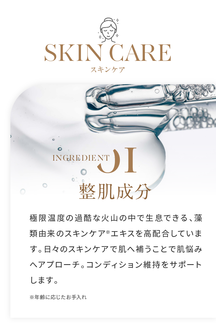スキンケア 整肌成分