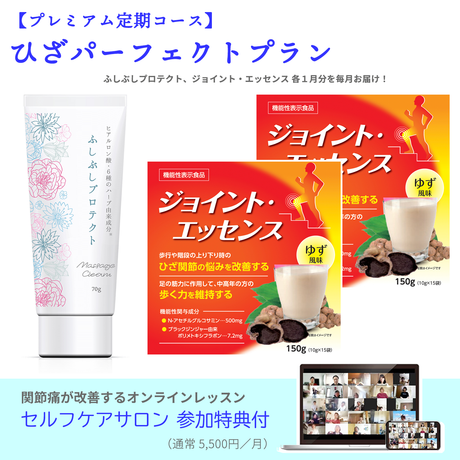 【プレミアム定期コース】 ひざパーフェクトプラン