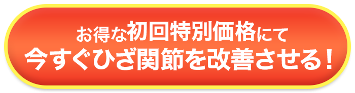 定期初回特別割引約60%OFFいつでも解約可能