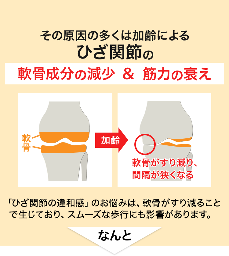 その原因の多くは加齢によるひざ関節の軟骨成分の減少＆筋力の衰え