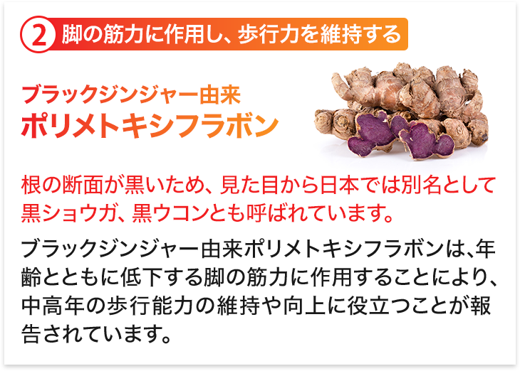 脚の筋力に作用し、歩行力を維持する