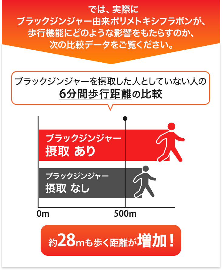 では、実際にブラックジンジャー由来ポリメトキシフラボンが、歩行機能にどのような影響をもたらすのか、次の比較データをご覧ください。