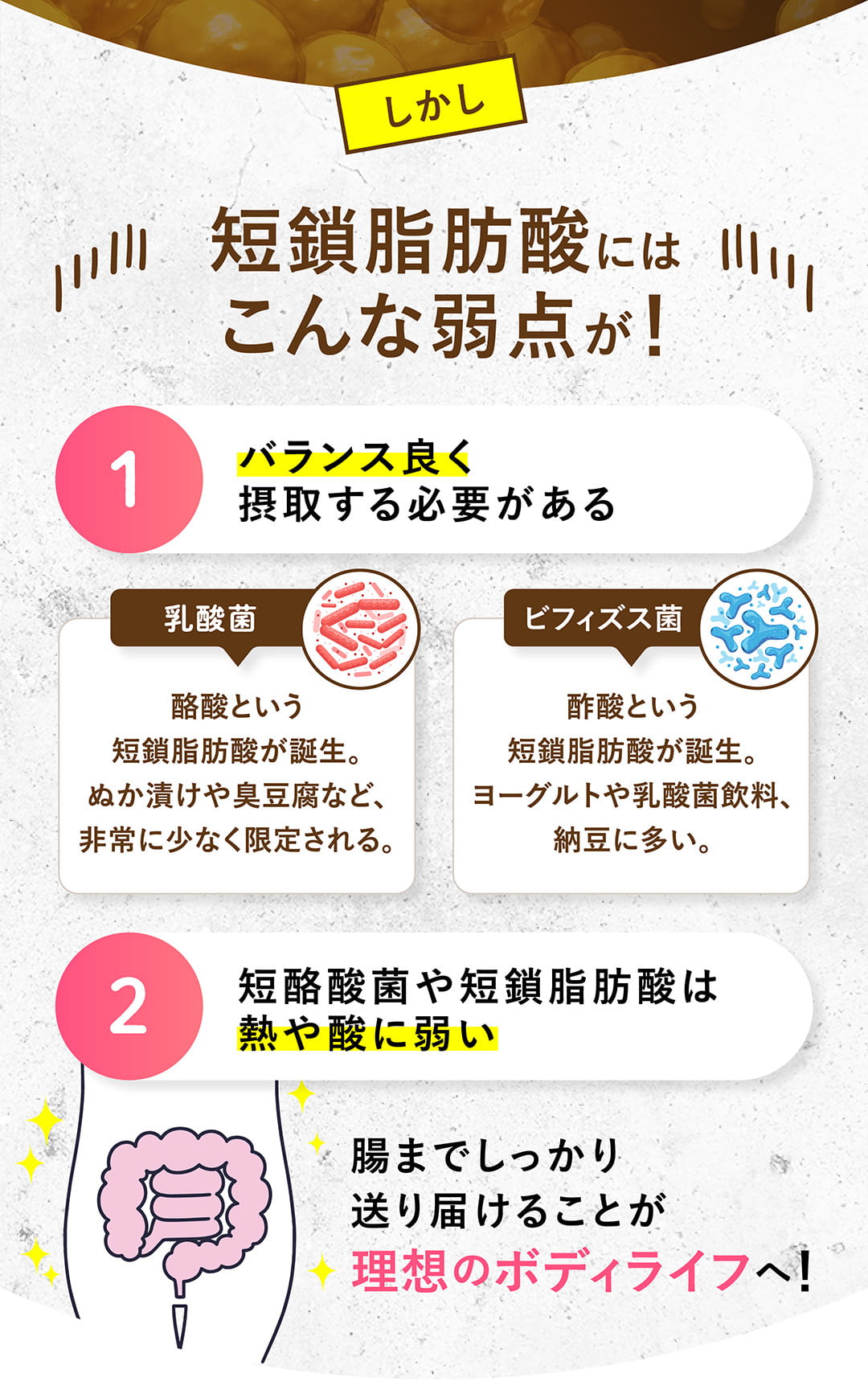 短鎖脂肪酸にはこんな弱点が！