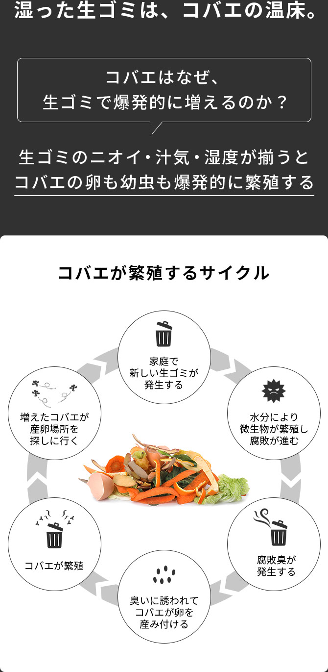 湿った生ゴミは、コバエの温床。