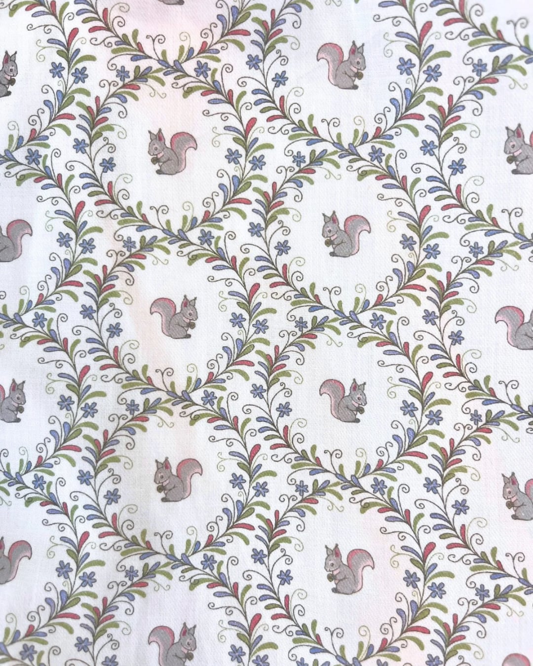  Squirrel ロンパース｜Pi&Pa ベビーサイズ: 18ヶ月 (86cm)