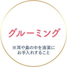 グルーミング