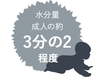 水分量は成人の約3分の2程度