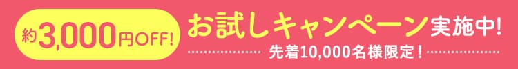 約3,000円OFF！お試しキャンペーン実施中！