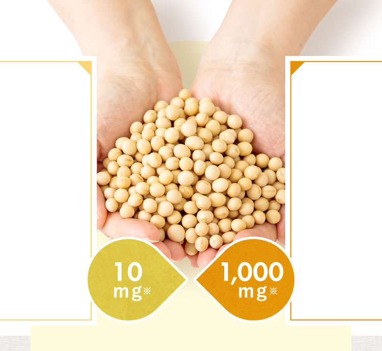 妊活に関わる葉酸