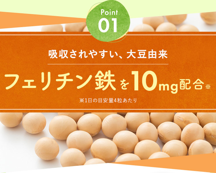 フェリチン鉄を10mg配合※