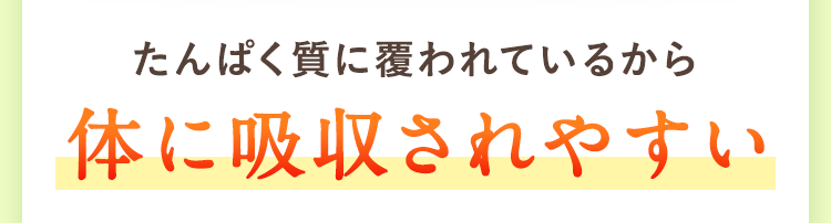 体に吸収されやすい