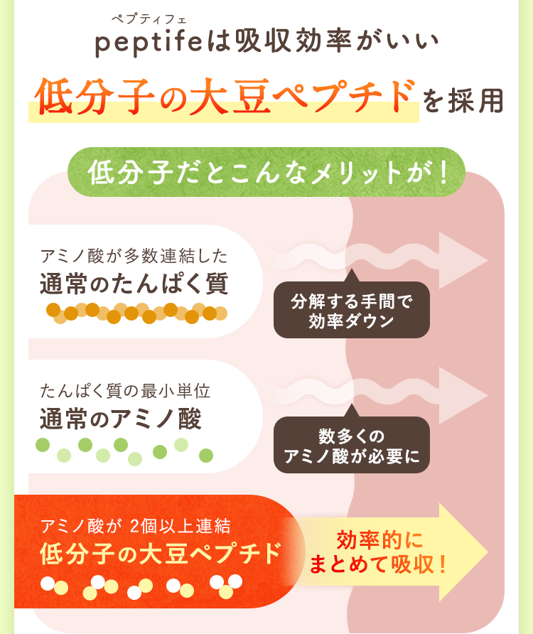 低分子の大豆ペプチドを採用