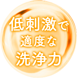 低刺激で適度な洗浄力