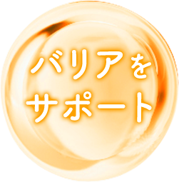 バリアをサポート