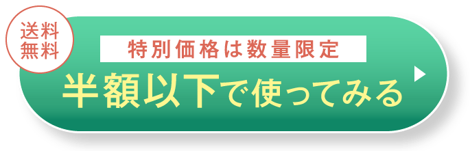 半額以下で使ってみる