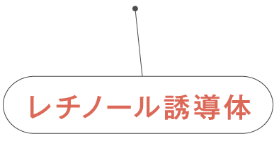 レチノール誘導体