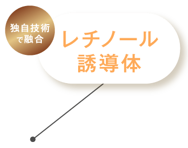 レチノール誘導体