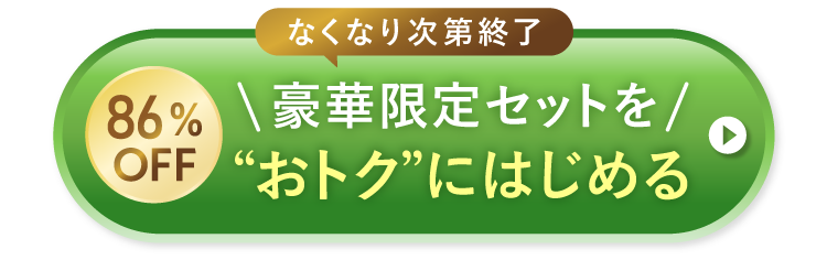 今しか買えない限定セットお得に申し込む