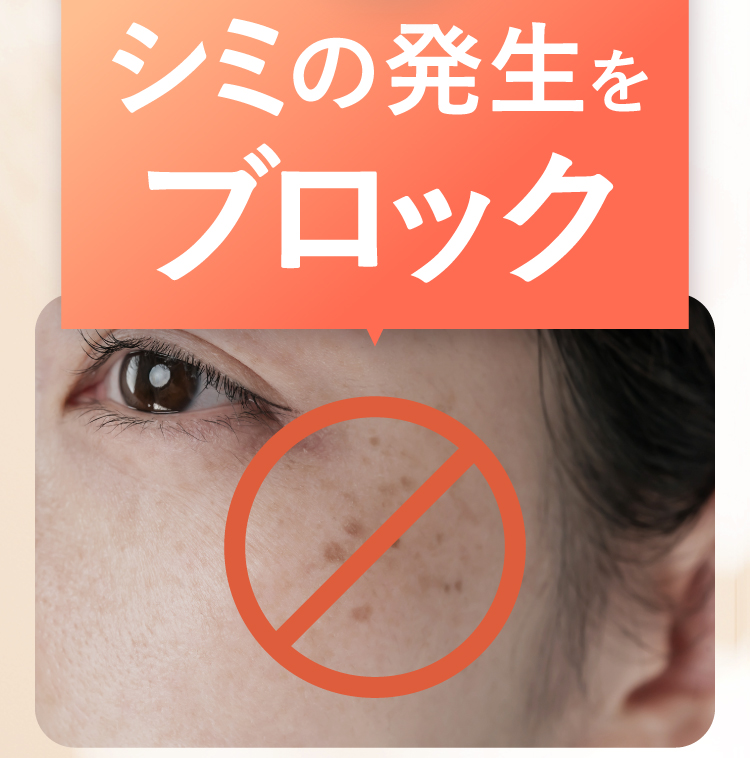 シミの発生をブロック