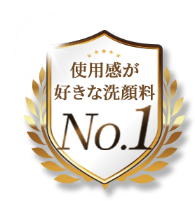 使用感が好きな洗顔料No.1
