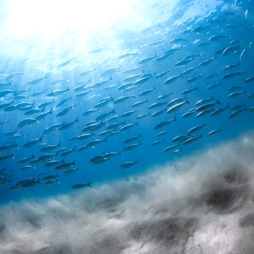 特徴イメージ