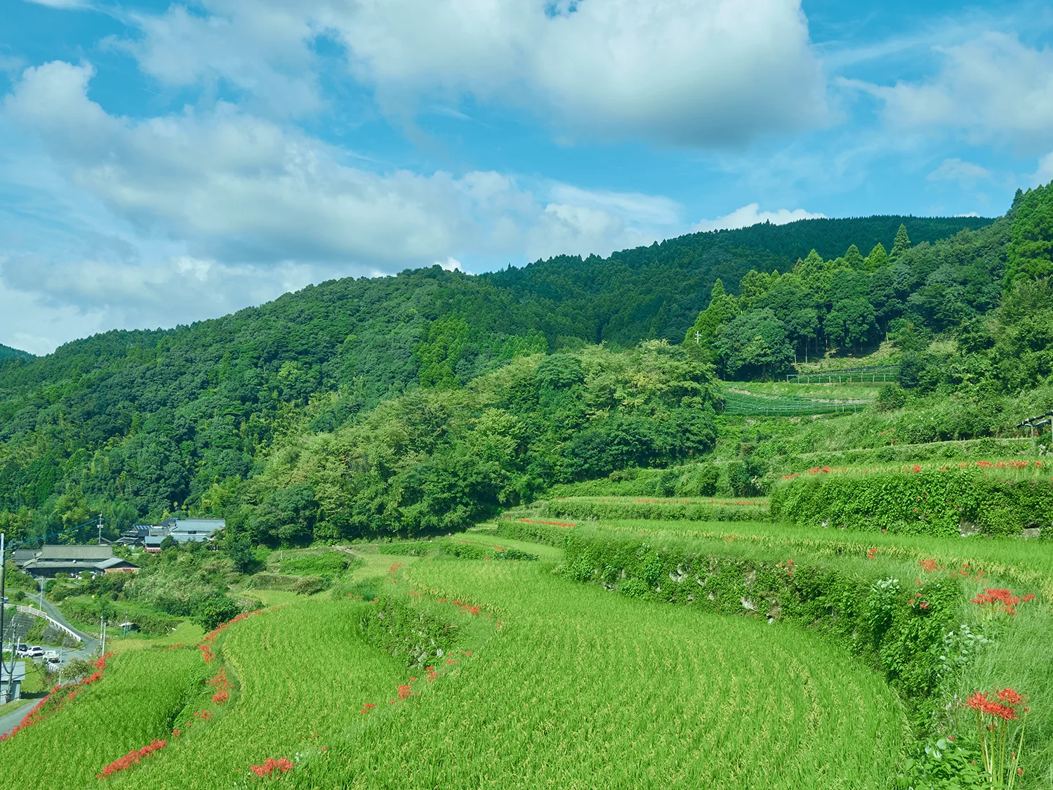 お顔の sapon