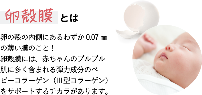 卵殻膜とは卵の殻の内側にあるわずか0.07㎜の薄い膜のこと！卵殻膜には、赤ちゃんのプルプル肌に多く含まれる弾力成分のベビーコラーゲン（Ⅲ型コラーゲン）をサポートするチカラがあります。