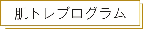 肌トレプログラム