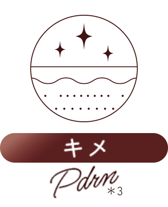 キメ Pdrn