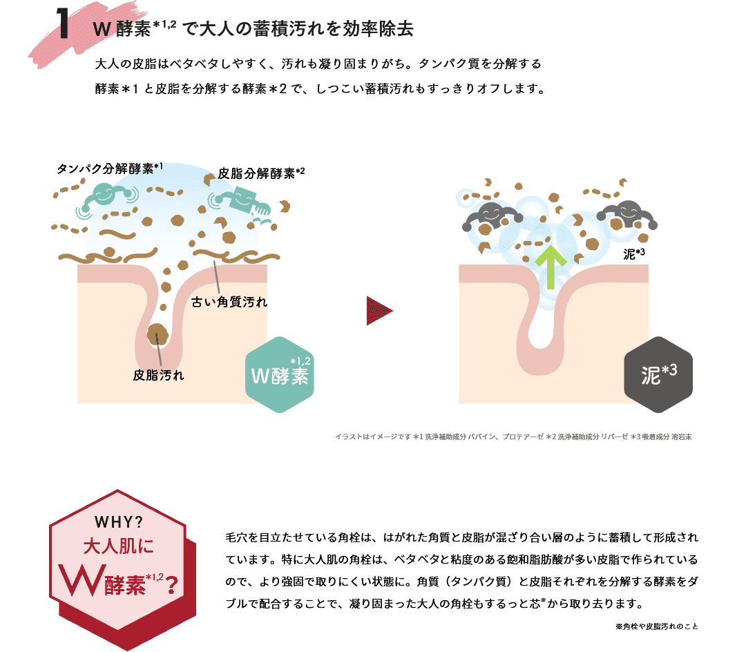 W酵素で大人の蓄積汚れを効率除去 大人の皮脂はベトベトしやすく、汚れも凝り固まりがち。タンパク質を分解する酵素と皮脂を分解する酵素で、しつこい蓄積汚れもすっきりオフします。