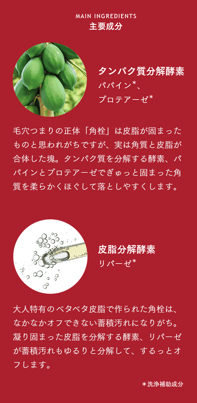 主要成分 タンパク質分解酵素、皮脂分解酵素