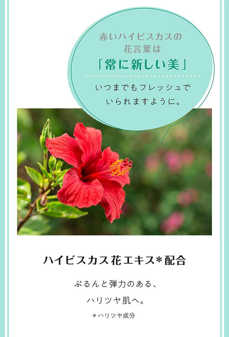 常に新しい美