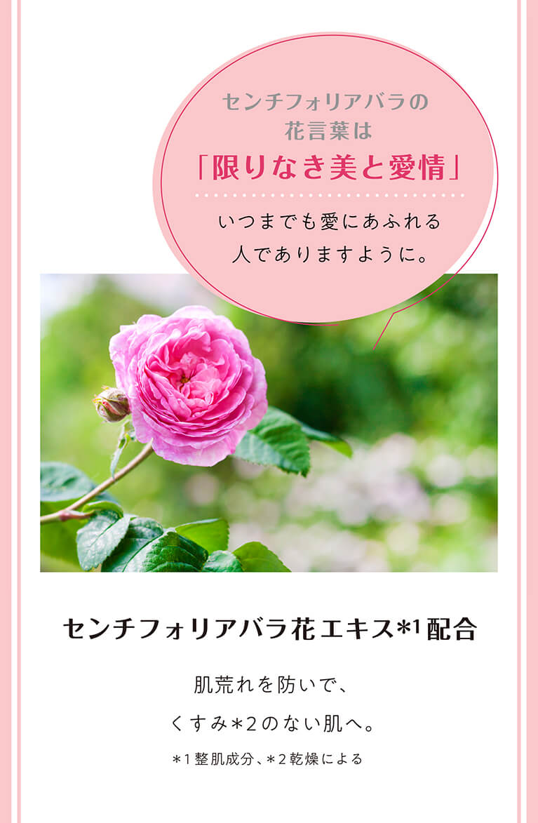 限りなき美と愛情