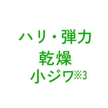 ハリ・弾力 乾燥小ジワ ※3