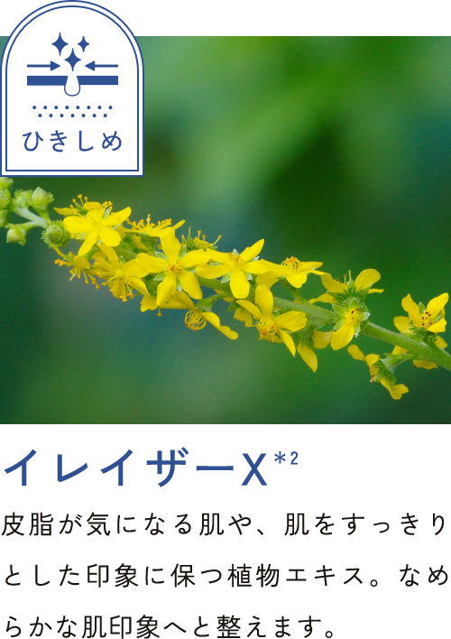 イレイザーX＊2