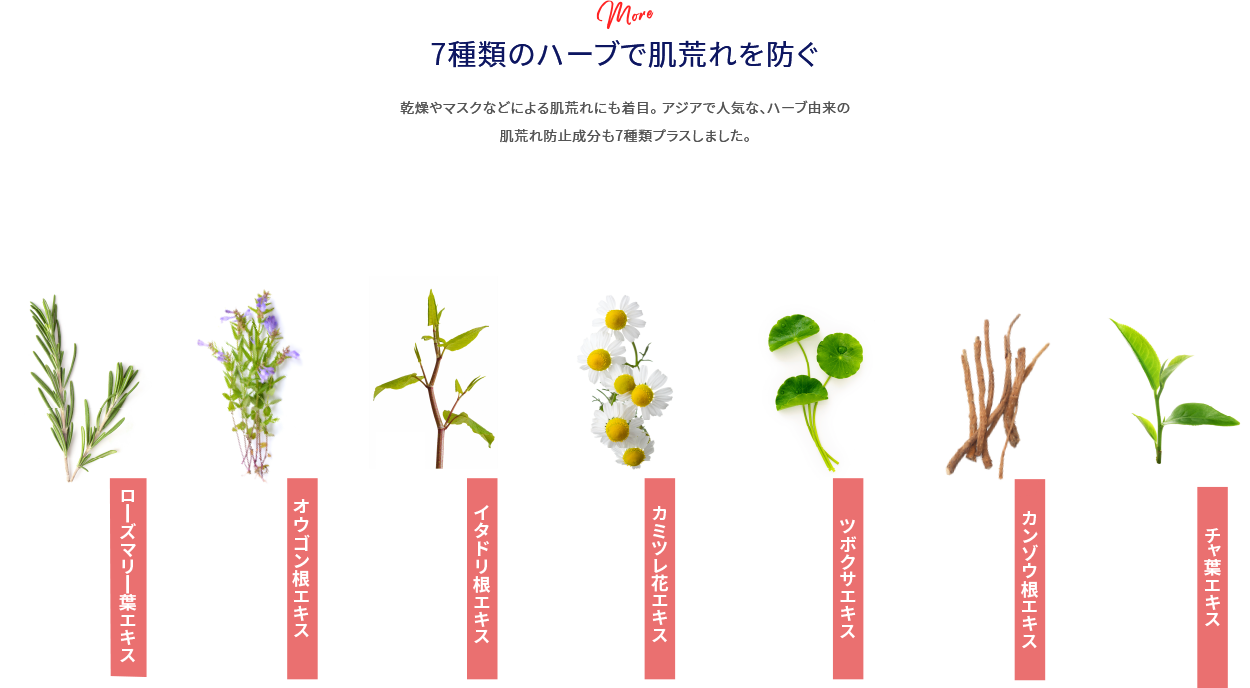 7種類のハーブで肌荒れを防ぐ 乾燥やマスクなどによる肌荒れにも着目。アジアで人気な、ハーブ由来の肌荒れ防止成分も7種類プラスしました。