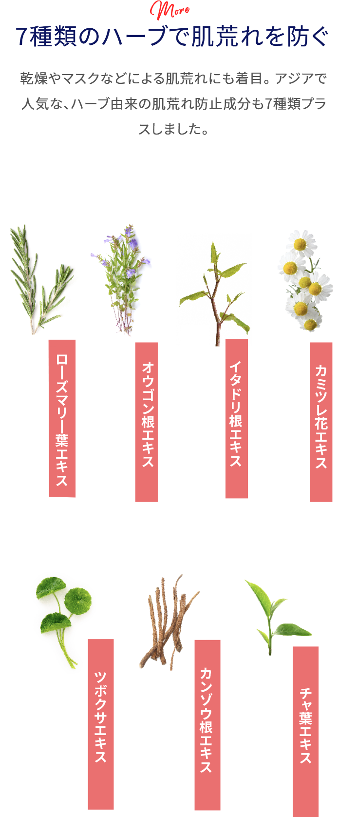 7種類のハーブで肌荒れを防ぐ 乾燥やマスクなどによる肌荒れにも着目。アジアで人気な、ハーブ由来の肌荒れ防止成分も7種類プラスしました。