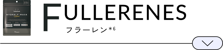 FULLERENES フラーレン＊6