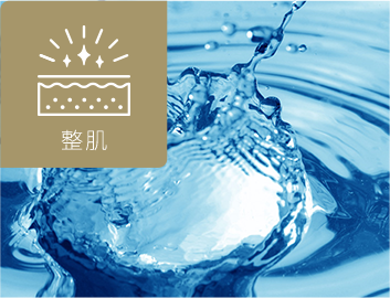 ナイアシンアミド＊１