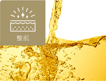 ナイアシンアミド＊１