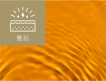 ナイアシンアミド＊１