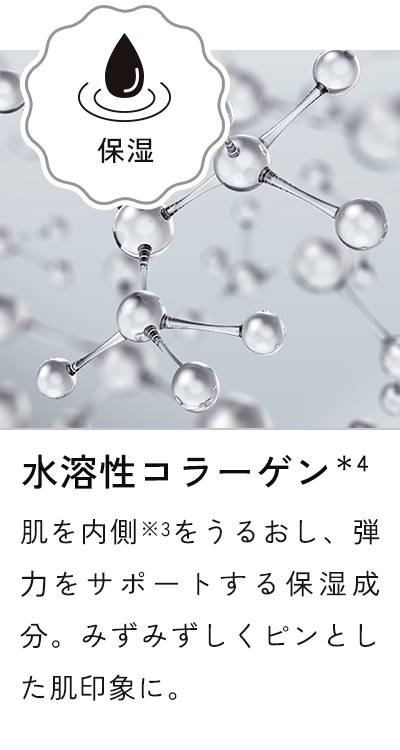 水溶性コラーゲン*4 肌を内側※3をうるおし、弾力をサポートする保湿成分。みずみずしくピンとした肌印象に。